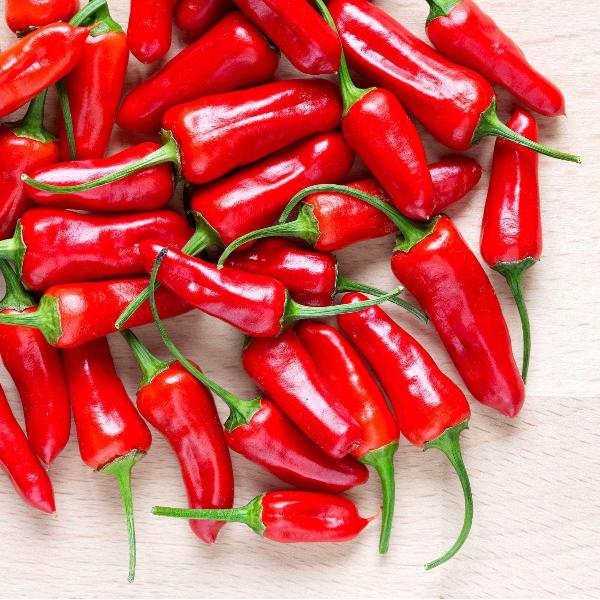 Chilli Plants