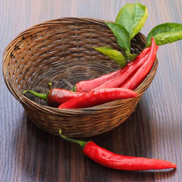 AcquaGarden Chilli 'Hot Fajita'