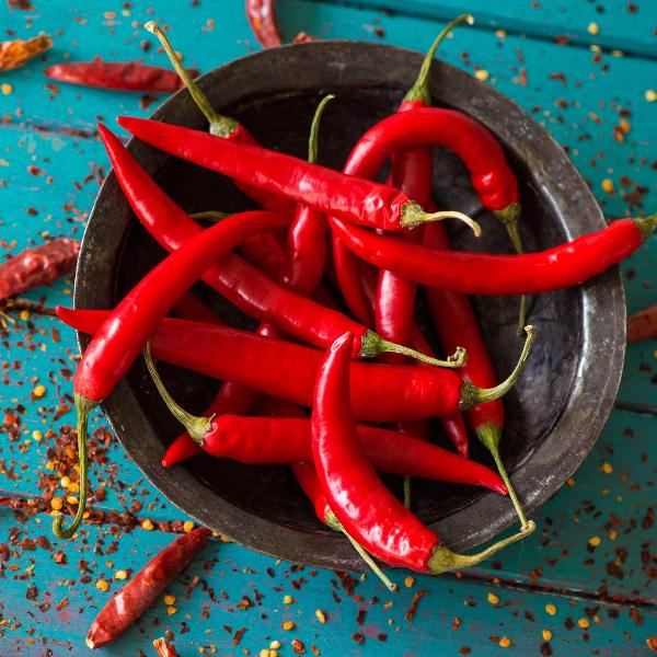 AcquaGarden Chilli 'Hot Fajita'