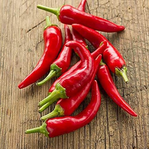 AcquaGarden Plants Chilli 'Cheyenne'